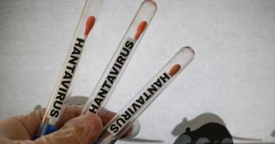 Qué dijo la OMS sobre la posibilidad de otra pandemia por el brote mortal de hantavirus