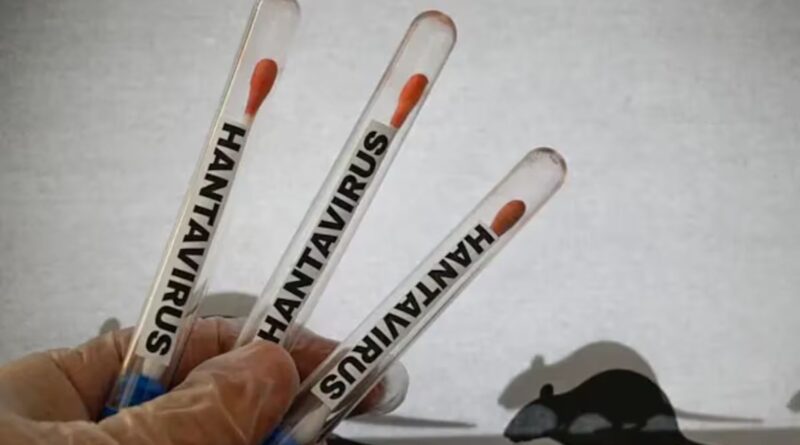 Qué dijo la OMS sobre la posibilidad de otra pandemia por el brote mortal de hantavirus