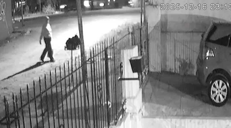 Abandonaron a un bebé en una zanja en Quilmes: está internado y fuera de peligro