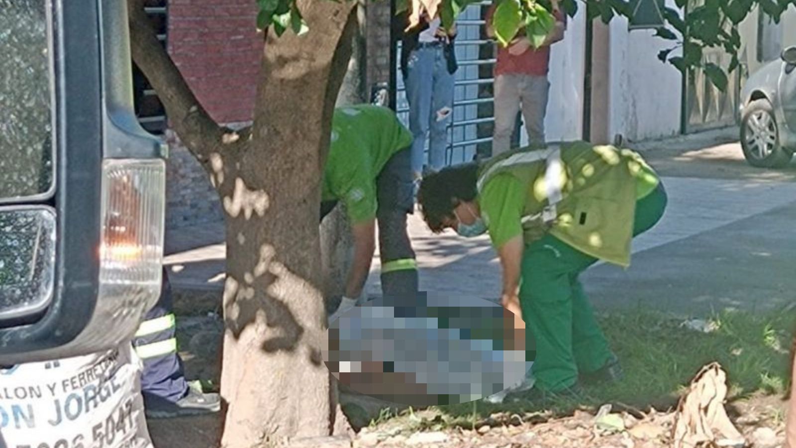 Trepó a un árbol para bajar paltas y murió electrocutado