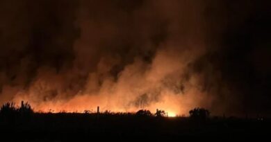 Incendio forestal en Mar del Plata: más de 200 hectáreas arrasadas