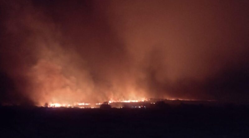 Los bomberos continúan trabajando en los incendios de la Reserva