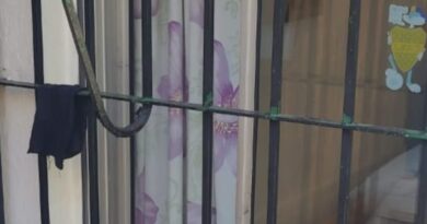 Violenta entradera en Berazategui: asaltaron y golpearon a dos adultos mayores