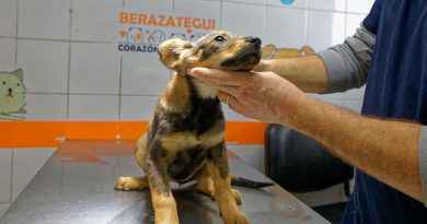 La Clínica Veterinaria Municipal de Berazategui cumplió 11 años