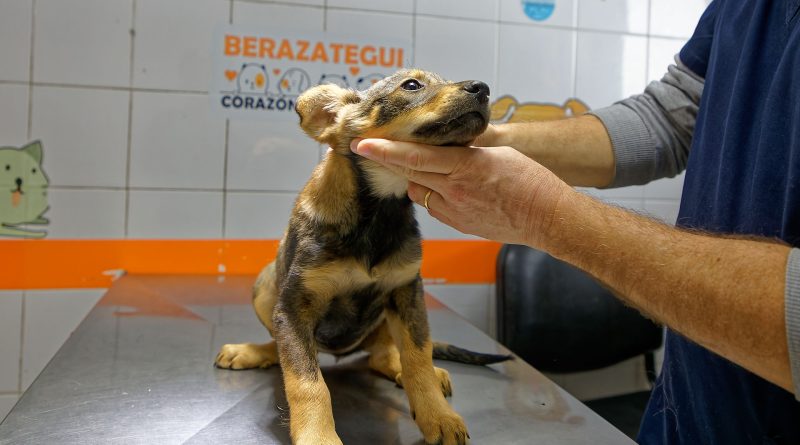 La Clínica Veterinaria Municipal de Berazategui cumplió 11 años