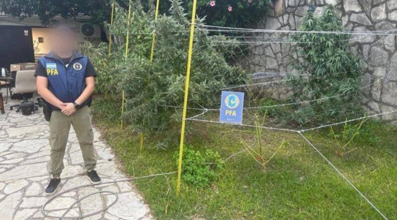 Operativo en Quilmes | Detuvieron a dos hombres e incautaron 180 kilos de marihuana