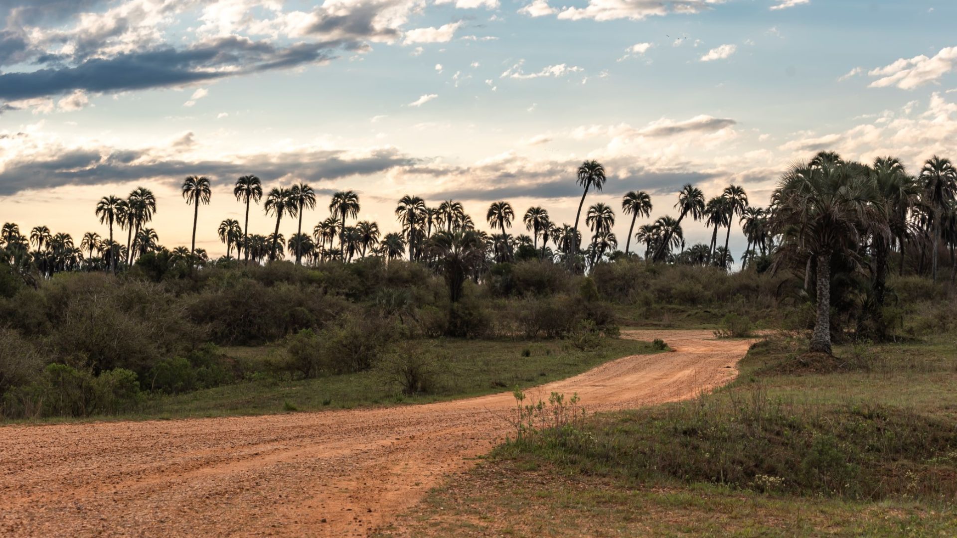 Parque Nacional El Palmar