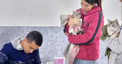 Vacunación antirrábica, castración y desparasitación de perros y gatos, gratuita, en Berazategui