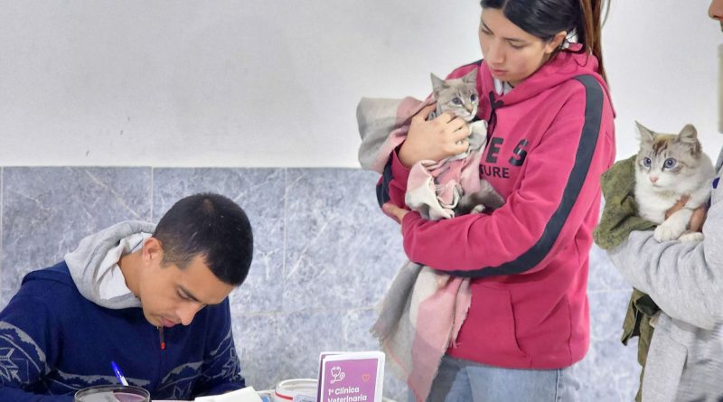 Vacunación antirrábica, castración y desparasitación de perros y gatos, gratuita, en Berazategui