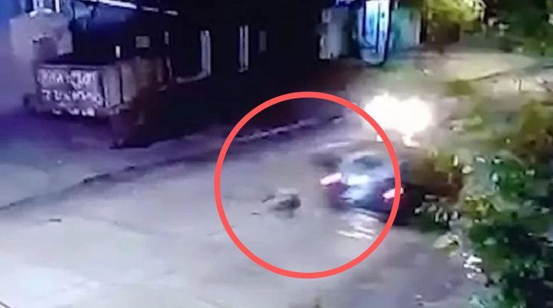 Quilmes | Una mujer murió atropellada tras arrojarse o ser arrojada de un auto en movimiento