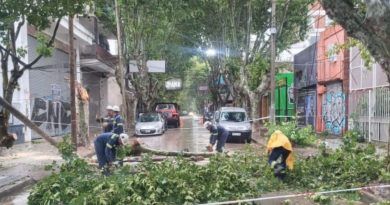 Edesur dispuso un operativo para reparar la red eléctrica afectada por el temporal