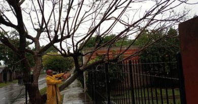 En Florencio Varela, miles de familias siguen sin luz: no se registraron personas heridas