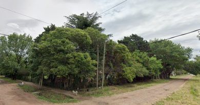 Berazategui | Lo citaron para venderle una quinta, lo drogaron y le robaron el auto, el celular y dinero