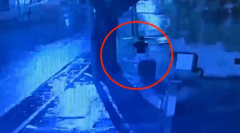 Autopsia confirma que el hombre hallado descuartizado en Lanús fue asesinado