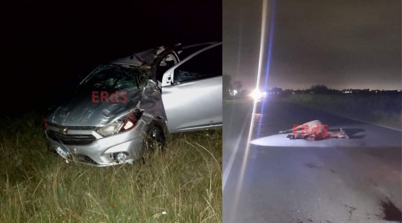 Hijo de ex concejal varelense muere en un trágico siniestro en la Ruta 53 (Fotos: El Radar del Sur)