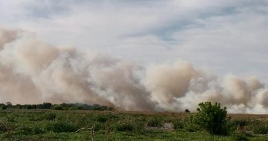 incendio en la Reserva de Punta Lara