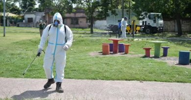 Brote de dengue