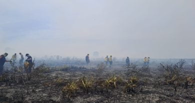 Continúan combatiendo el fuego en la Reserva de Punta Lara