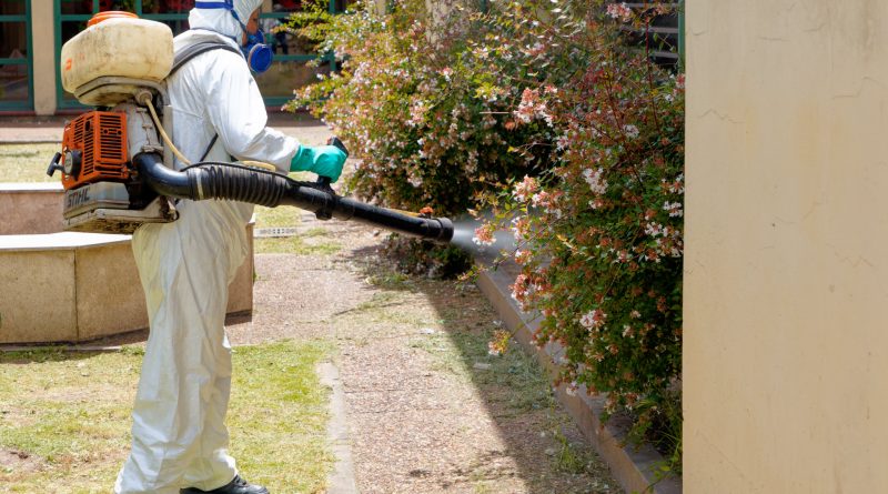 Registran una muerte por dengue en Berazategui