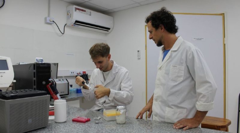 Investigadores de la UNQ desarrollan un método para la detección de gonorrea