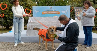 Berazategui | Perros y gatos fueron bendecidos en la Plaza San Martín
