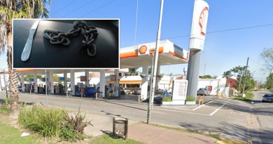 Berazategui | Atacó a empleados de una estación de servicio y a policías