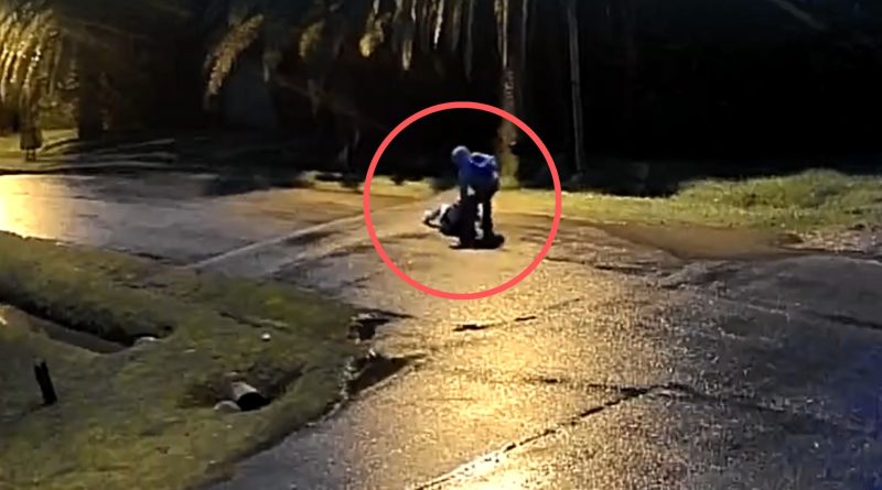 Brutal ataque a una mujer en El Pato