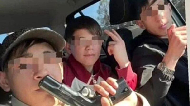Cayó la “Banda de los Menores” que robaba en Berazategui