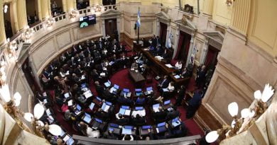 El Senado aprobó la Ley Bases