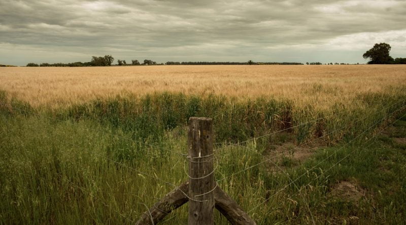 Copetonas, el pueblo que festeja el mate, la torta frita y el turismo rural