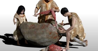 Descubren en territorio bonaerense el registro de presencia humana más antiguo de Sudamérica