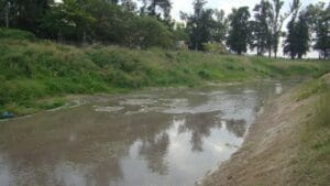 Descubren en territorio bonaerense el registro de presencia humana más antiguo de Sudamérica