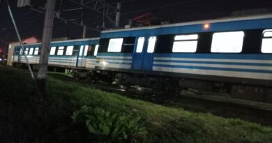 Descarriló una formación del tren Roca en la estación La Plata
