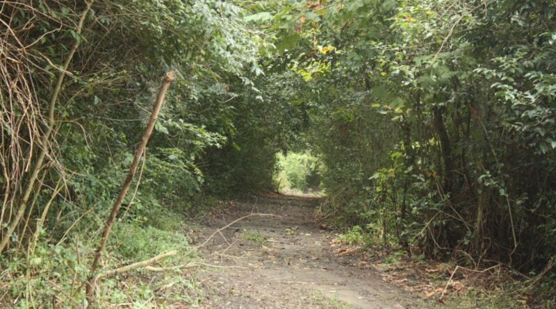 Berazategui | Declaran zona de área natural a parte de la costa de Hudson