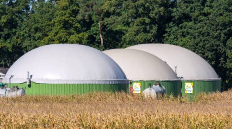 Biodigestores: Tecnología clave para la gestión ambiental y el futuro sostenible