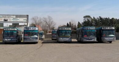 Balearon a un chofer de colectivos en Lomas de Zamora y hay paro en tres líneas