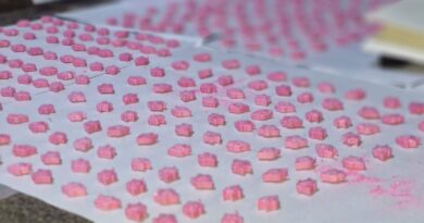 Avellaneda | Desbaratan laboratorio clandestino que producía 14 mil pastillas de éxtasis