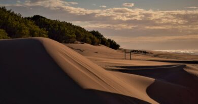 3 playas doradas para estas vacaciones muy cerca de casa