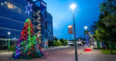 Berazategui ya luce su tradicional árbol navideño sustentable