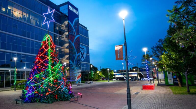 Berazategui ya luce su tradicional árbol navideño sustentable
