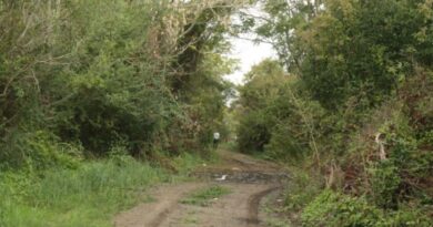 Denuncian "la venta" de una calle para la construcción de otro country en Hudson