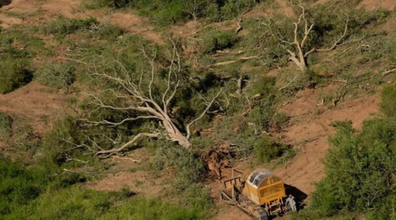 Ambientalistas repudiaron el ataque de Milei a los derechos sociales y ambientales