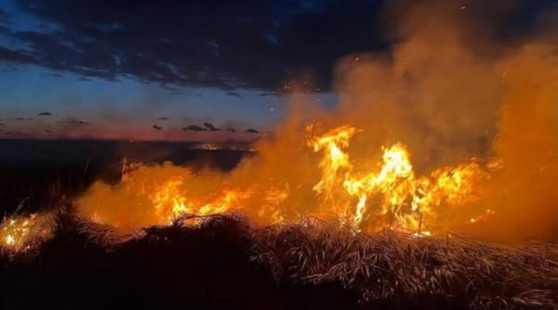 Nuevos incendios sin explicación: ¿Quién protege la Reserva Natural?