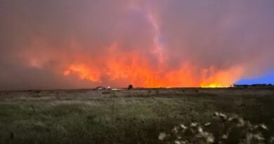 ¿Qué esconden los incendios en la Reserva de Pereyra