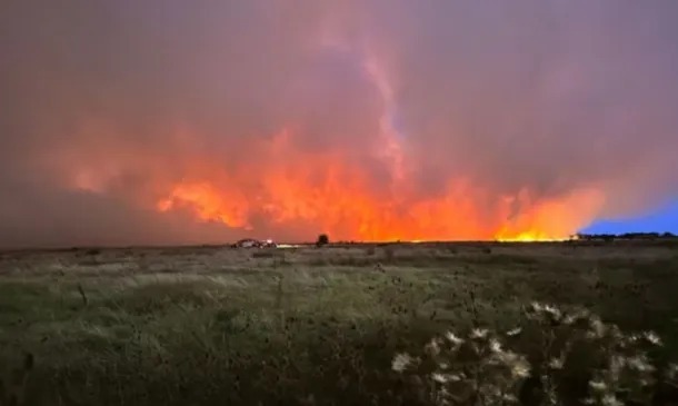 ¿Qué esconden los incendios en la Reserva de Pereyra