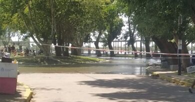 Una niña de 10 años electrocutada en la ribera de Quilmes por una luminaria pública