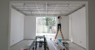 Etapa final en la construcción del Centro Cívico Villa España - Plátanos