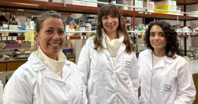 Científicas de la UNQ desarrollan un apósito inteligente que acelera la cicatrización