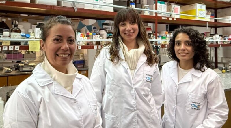 Científicas de la UNQ desarrollan un apósito inteligente que acelera la cicatrización