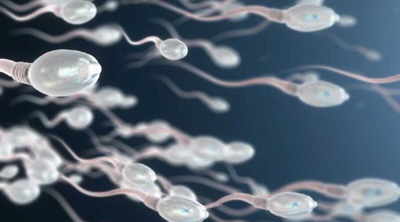 Desarrollan un novedoso método anticonceptivo para hombres que dura hasta dos años